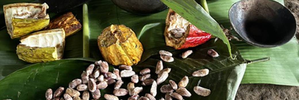Cérémonie Cacao