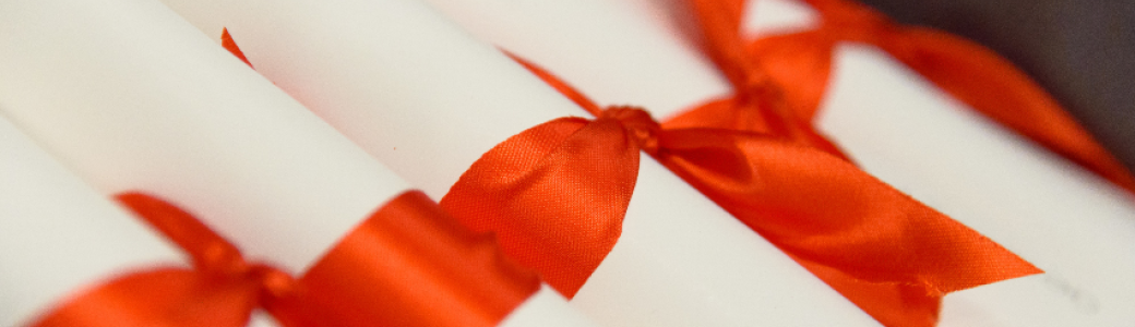 Cérémonie de remise des diplômes formation continue IDEA 2026