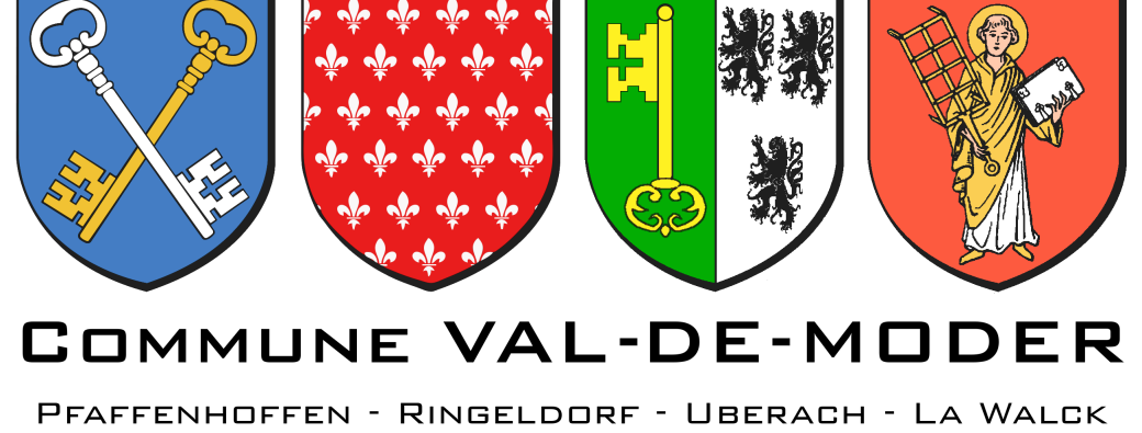 Cérémonie des Voeux