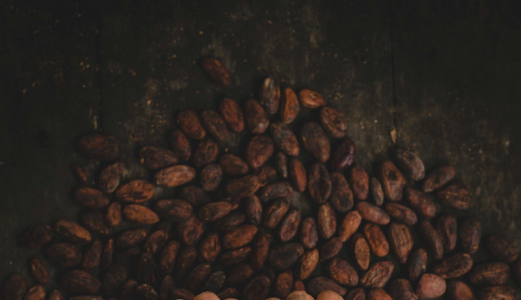 Cérémonie du Cacao du Solstice d'été 