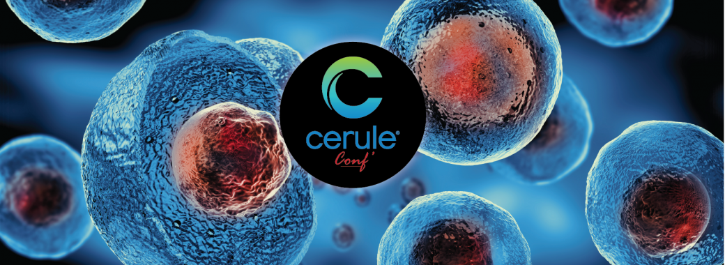 Cerule Conf' Martinique - Le stress, l'anxiété & le sommeil