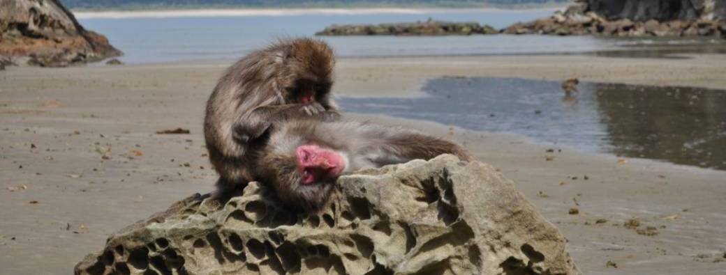 Conférence : Cerveau & Société