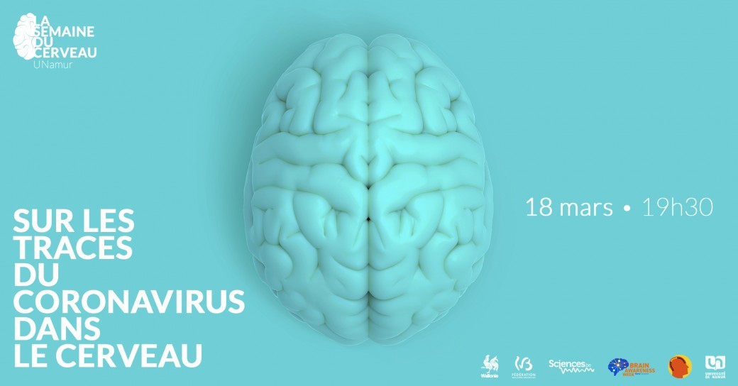 Sur les traces du coronavirus dans le cerveau