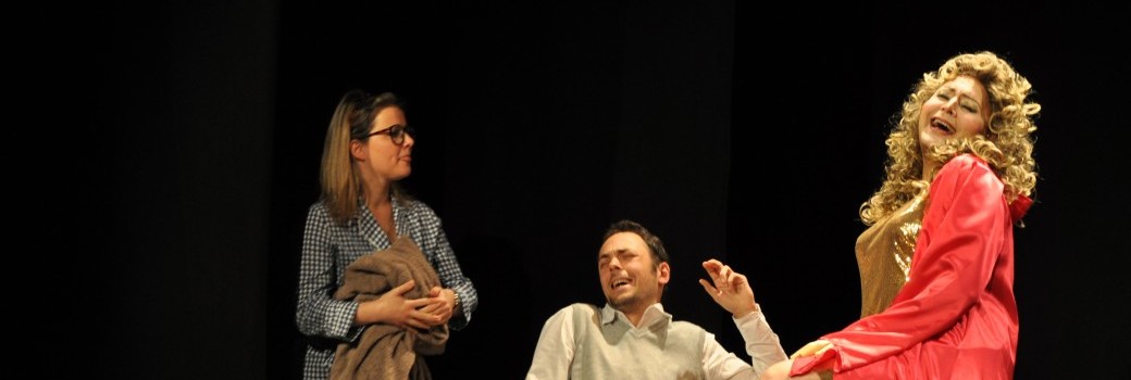 C'est bien fée pour moi [théâtre - comédie]