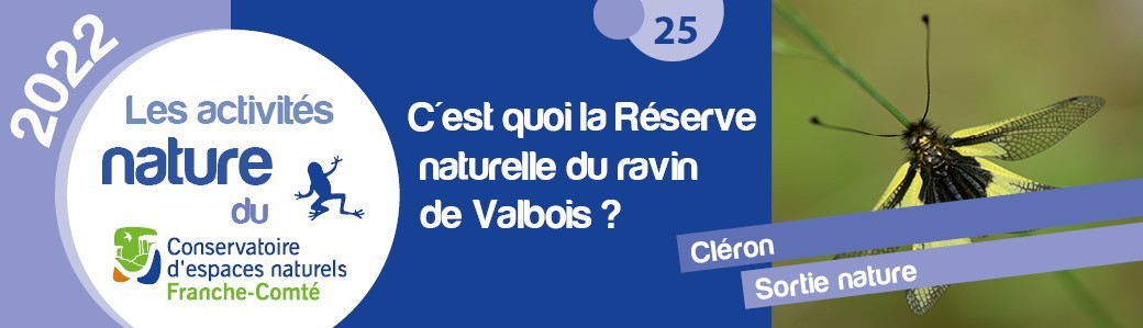C'est quoi la Réserve naturelle du ravin de Valbois ? C'est quoi la Réserve naturelle du ravin de Valbois ?
