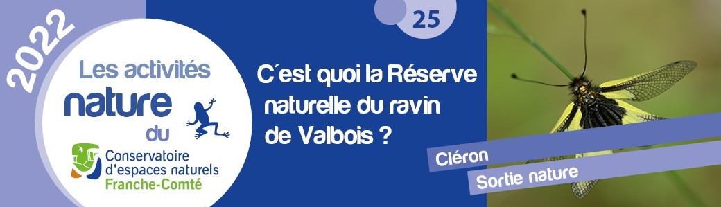 C'est quoi la Réserve naturelle du ravin de Valbois ?