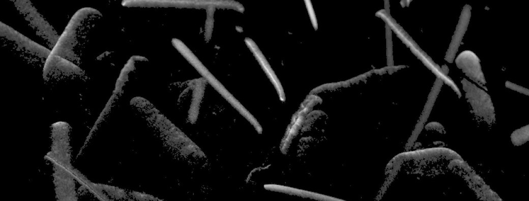 Chambre à brouillard