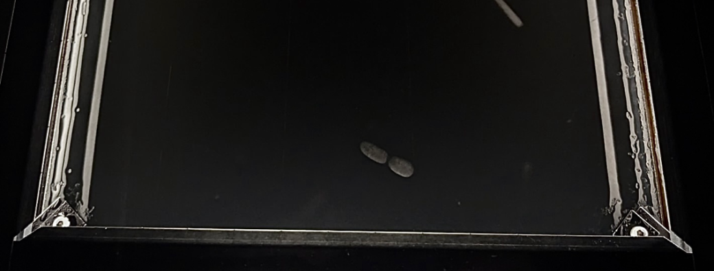 Chambre à brouillard