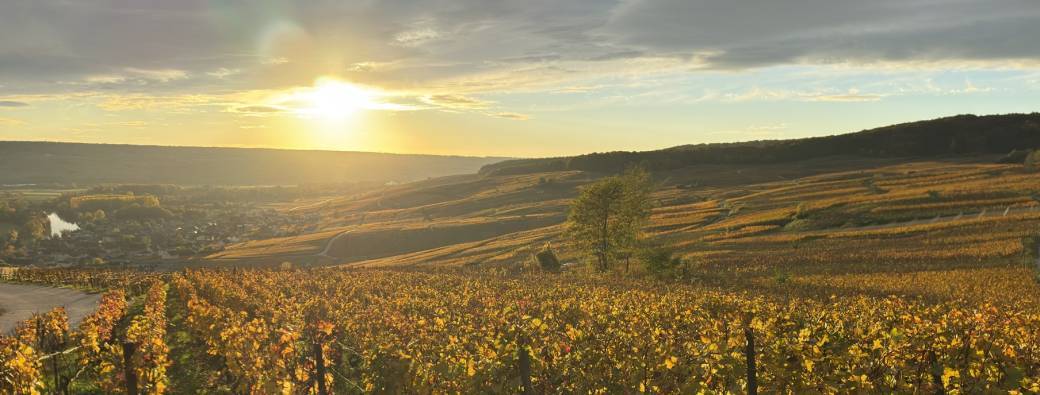 Champagne Day chez Jean Vesselle · Bouzy Grand Cru