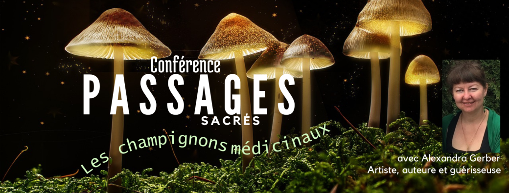 Passages sacrés, les champignons médicinaux