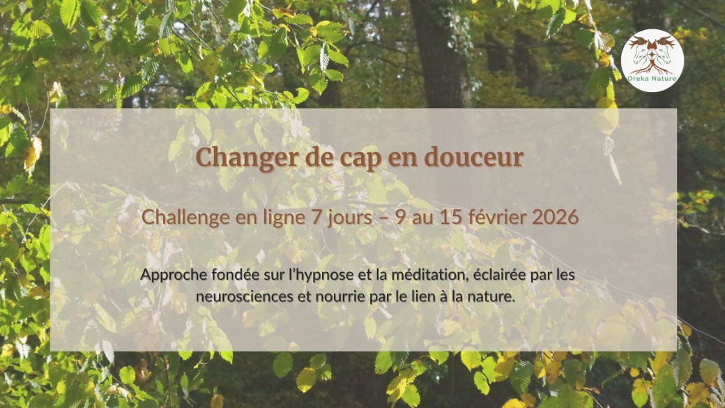 Changer de cap en douceur – Challenge en ligne 7 jours (9–15 février 2026)
