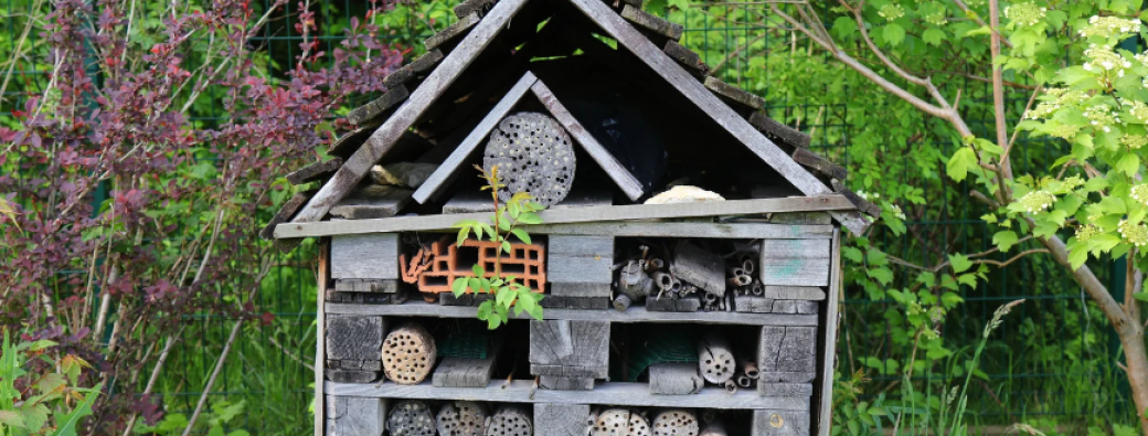 Chantier nature 8-14 ans