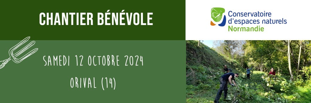 Chantier nature dans la réserve des anciennes carrières d'Orival 12/10/2024