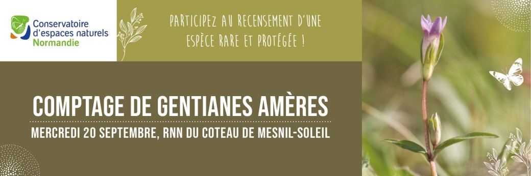 Chantier nature et comptage participatif de la gentiane amère 3/09/26