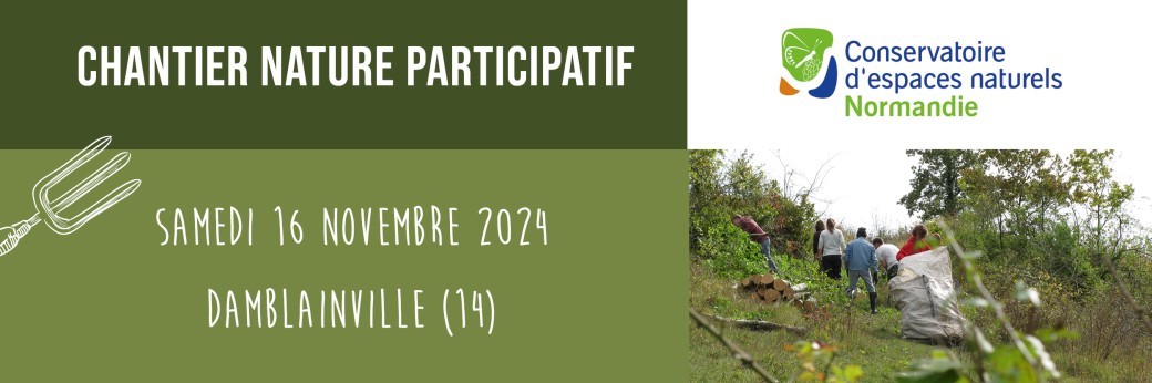 Chantier Nature participatif 16/11/2024