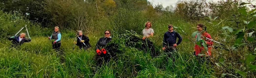 Chantier nature : restaurons la cladiaie ! 31/10/2026