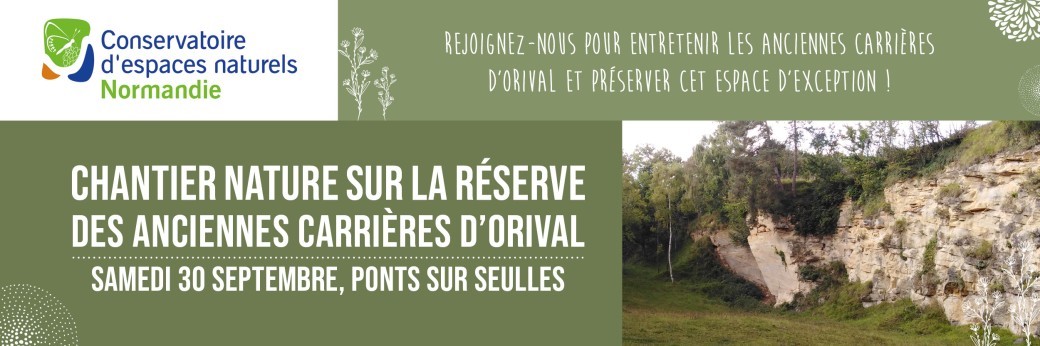 Chantier nature sur la Réserve des anciennes carrières d'Orival 