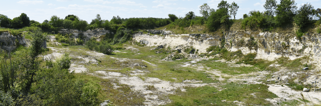 Chantier nature et découverte du site de la carrière de Belle-Eau - 27/06/2026