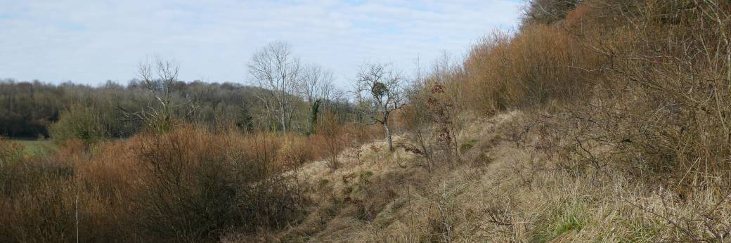 Chantier nature sur le coteau des Tanneries 21/03/2026
