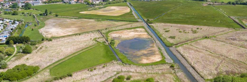 Chantier nature sur le marais de Colleville-Ouistreham 28/02/2026