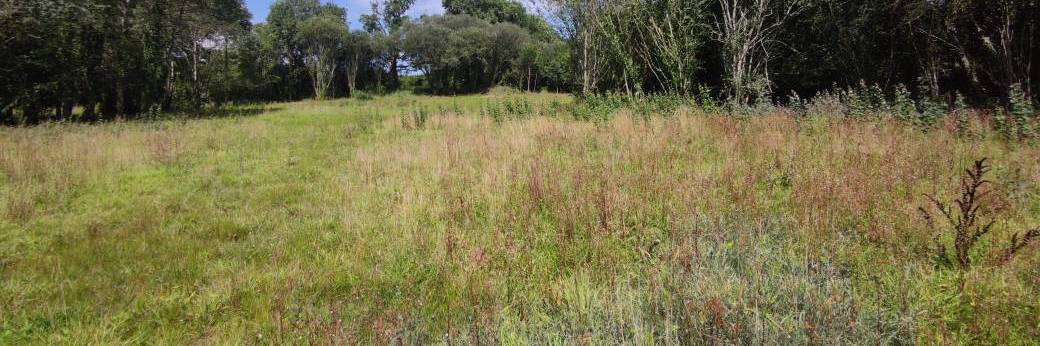 Chantier nature Un coup de pouce pour la tourbière de la Bunêche 29/09/2026
