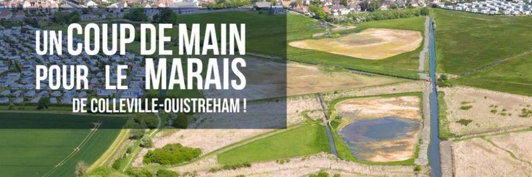 Chantier sur le marais de Colleville - 17-10-Montgomery-2026