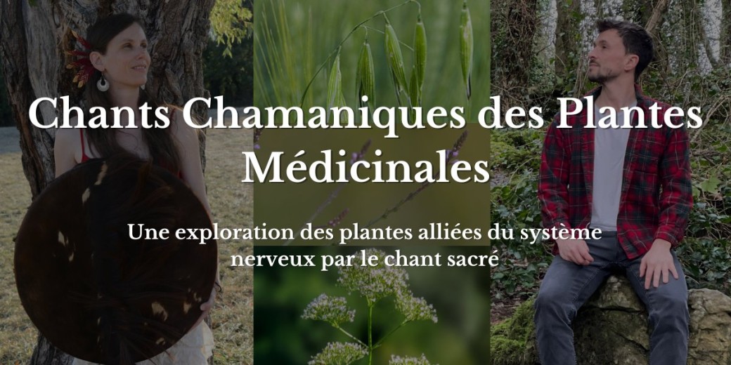 Chants de guérison des plantes pour le Système Nerveux