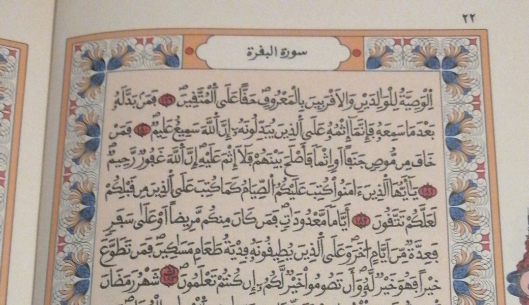 Chapitre du jeune