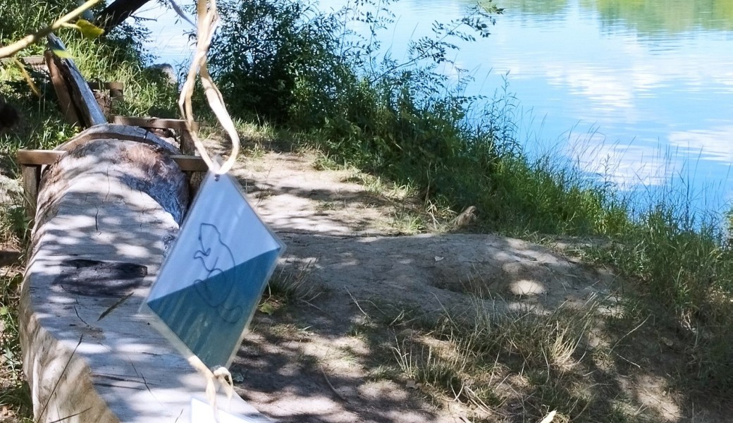 Chasse au trésor : découverte ludique du Rhône et son environnement 