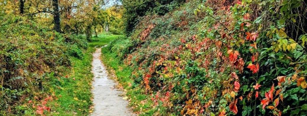 Chasse au trésor : Rapaces