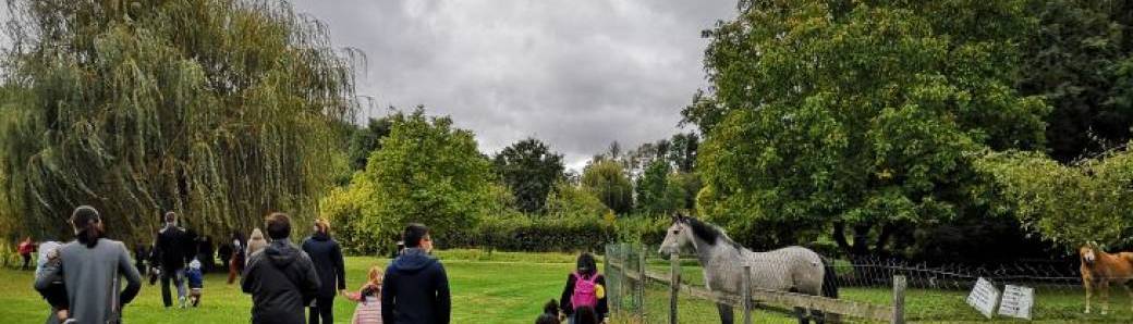 Chasse aux Oeufs énigmatique 2022