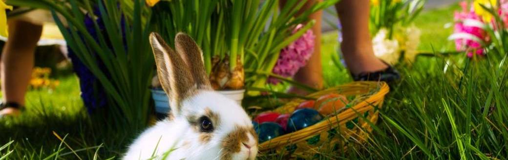 ALORA Children's Egg Hunt 2025