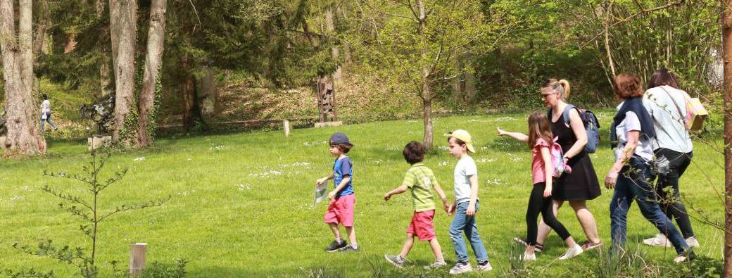 Chasse aux oeufs