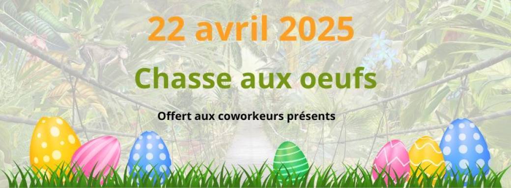 Chasse aux oeufs