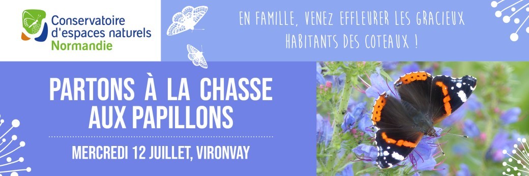 Partons à la chasse aux papillons !