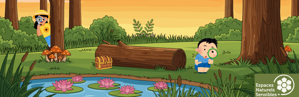 Chasse aux trésors et découverte naturaliste aux abords de la mare