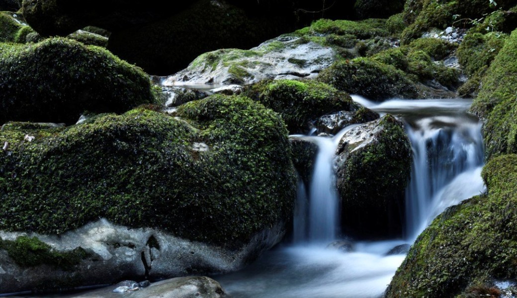 CHEMIN DE CONSCIENCE, Le ressenti.