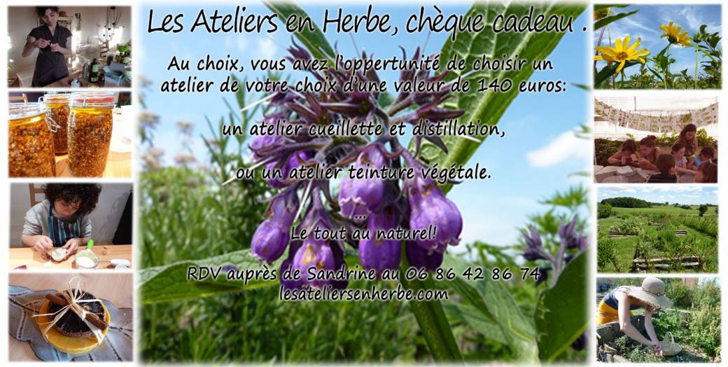 Chèque cadeau au choix d'une valeur de 140 euros