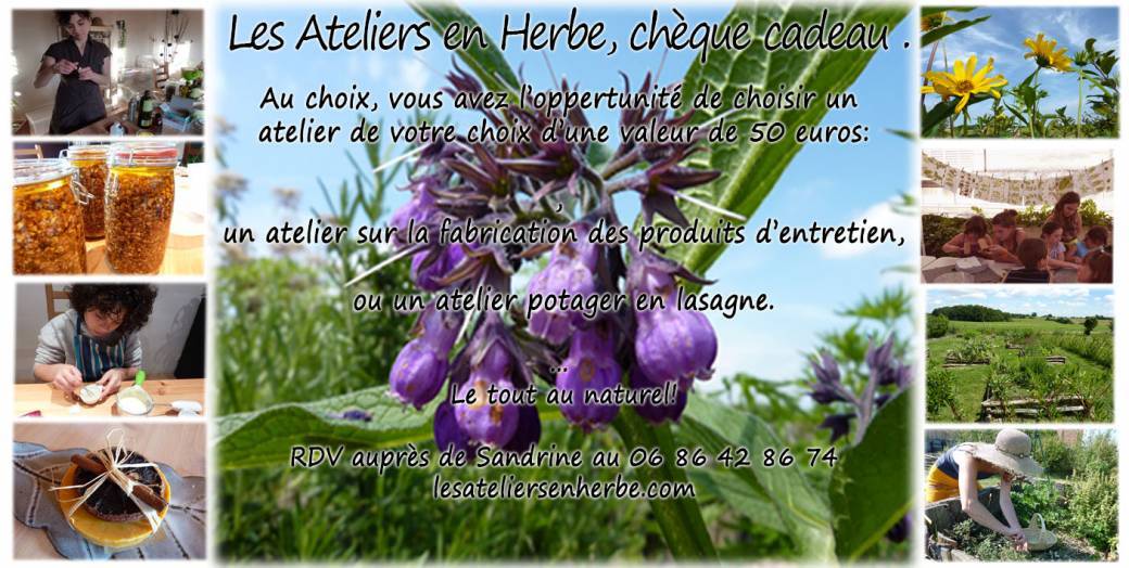 Chèque cadeau au choix d'une valeur de 50 euros