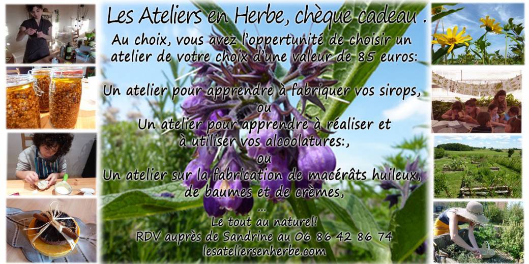 Chèque cadeau au choix d'une valeur de 85 euros