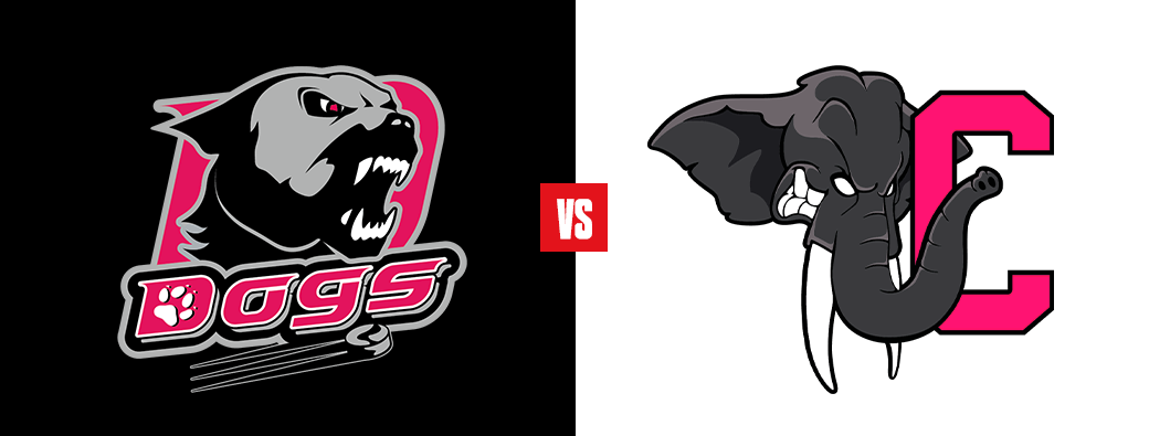 CHOLET vs CHAMBÉRY (Match Octobre Rose - D1)