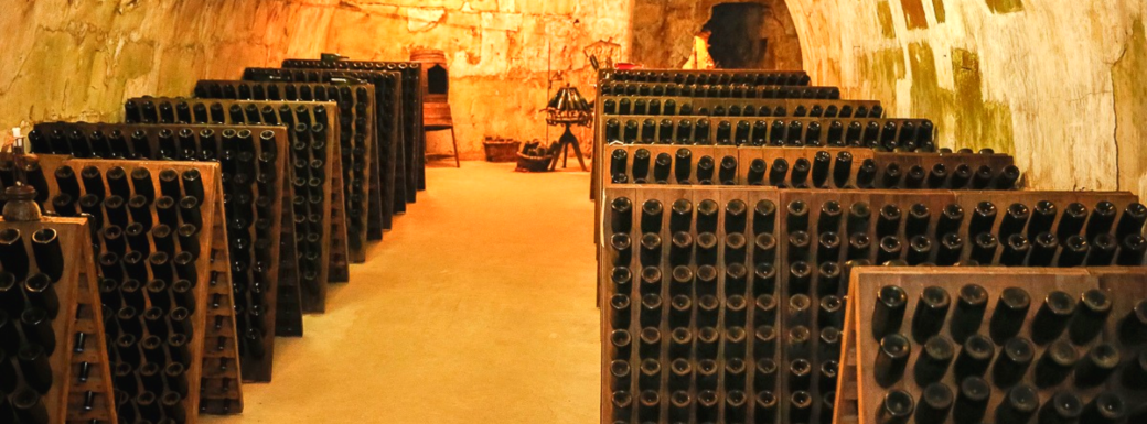 CHP210326 | Journée Erasmus en Champagne 