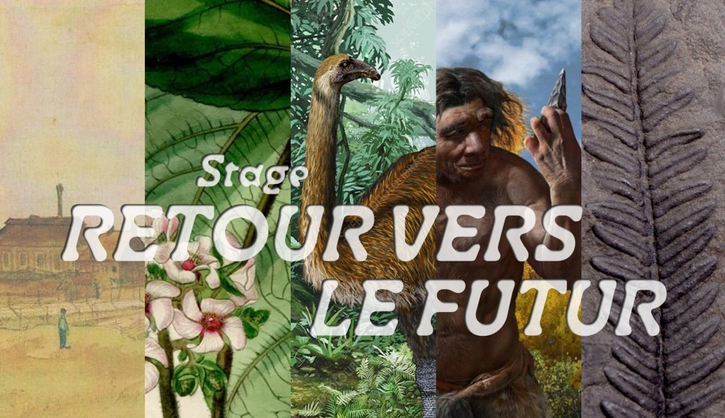 CID I Stage - Retour vers le futur