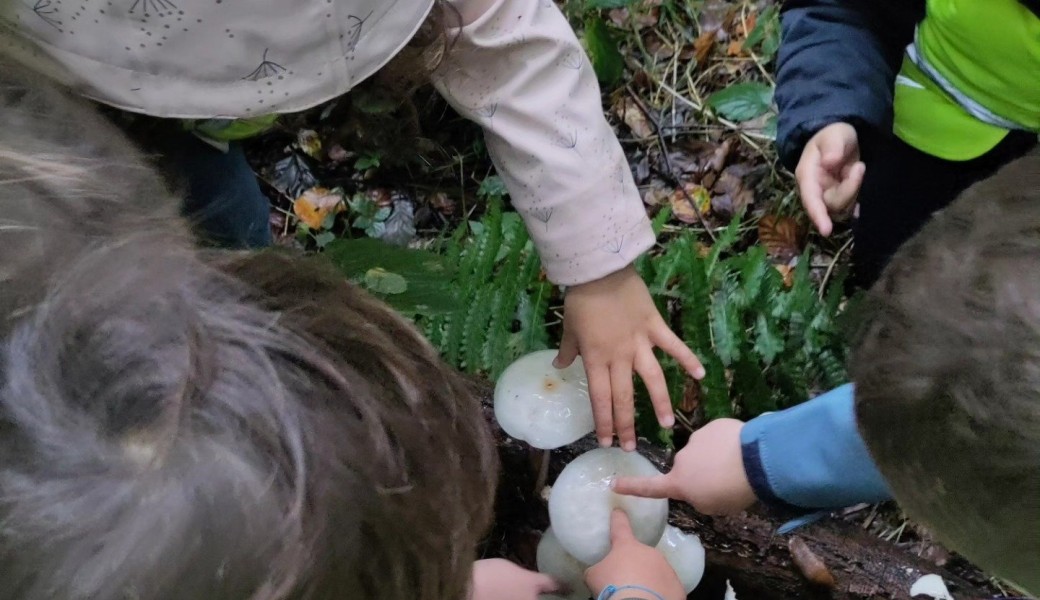 CID : stage - sur les traces du vivant