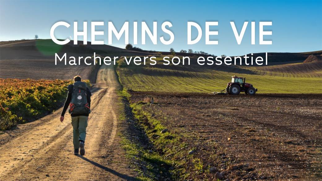 Ciné-échange / film "Chemins de Vie" à TOULOUSE
