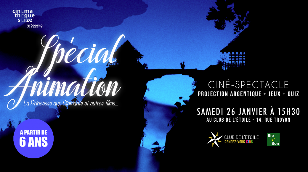 Spécial films d'animation : La princesse aux diamants et autres films...