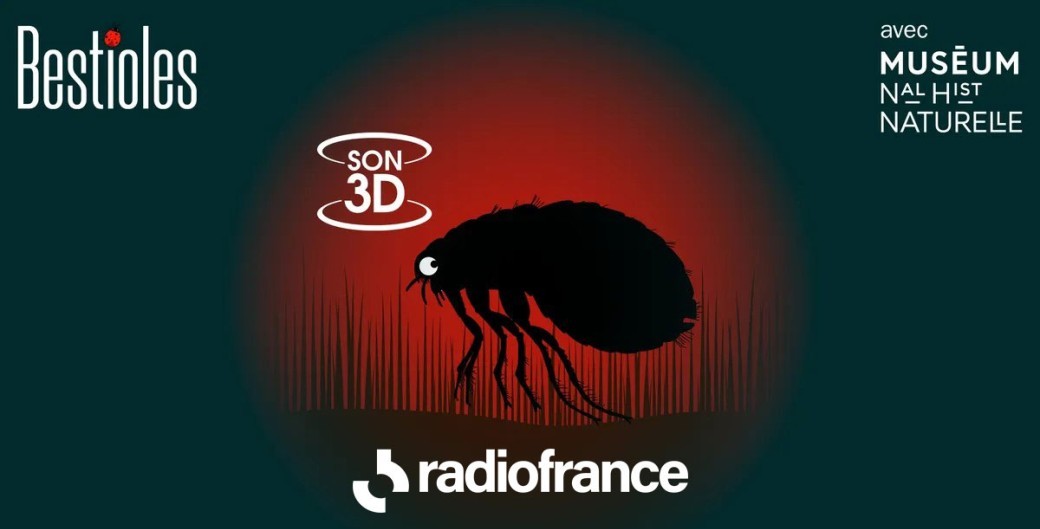 Cinéma Sonore de Radio France - Bestioles en Live