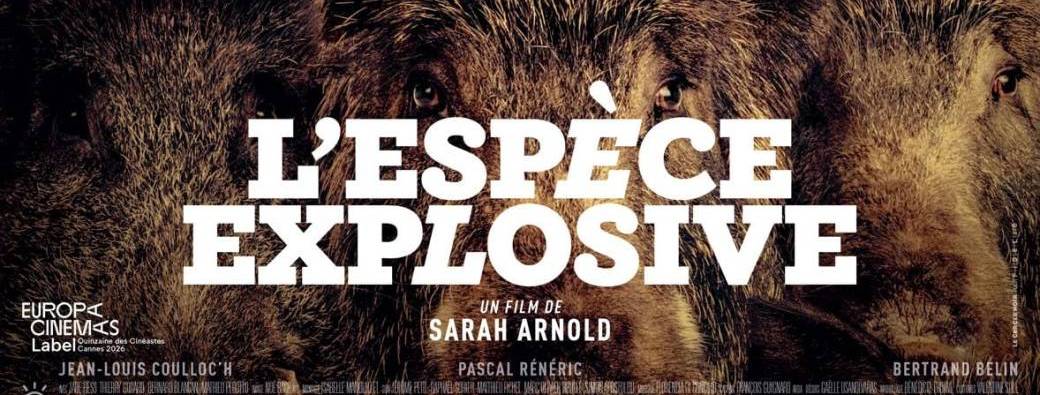 Cin'Escal Tout Public - L'Espèce explosive