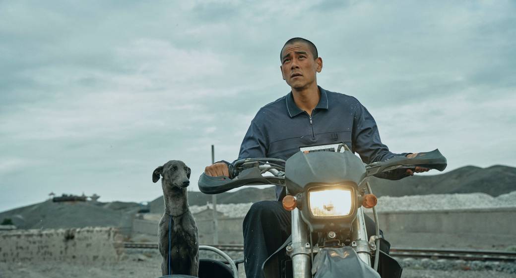 Cineville Specials Best of 2025 : BLACK DOG