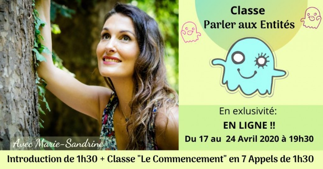Classe "Parler aux Entités" en LIGNE